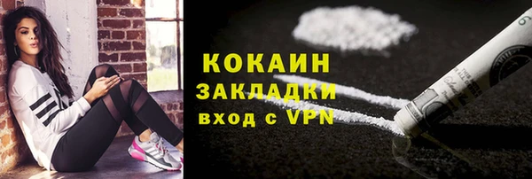 соль ск Алзамай