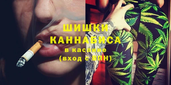 гидра Арсеньев
